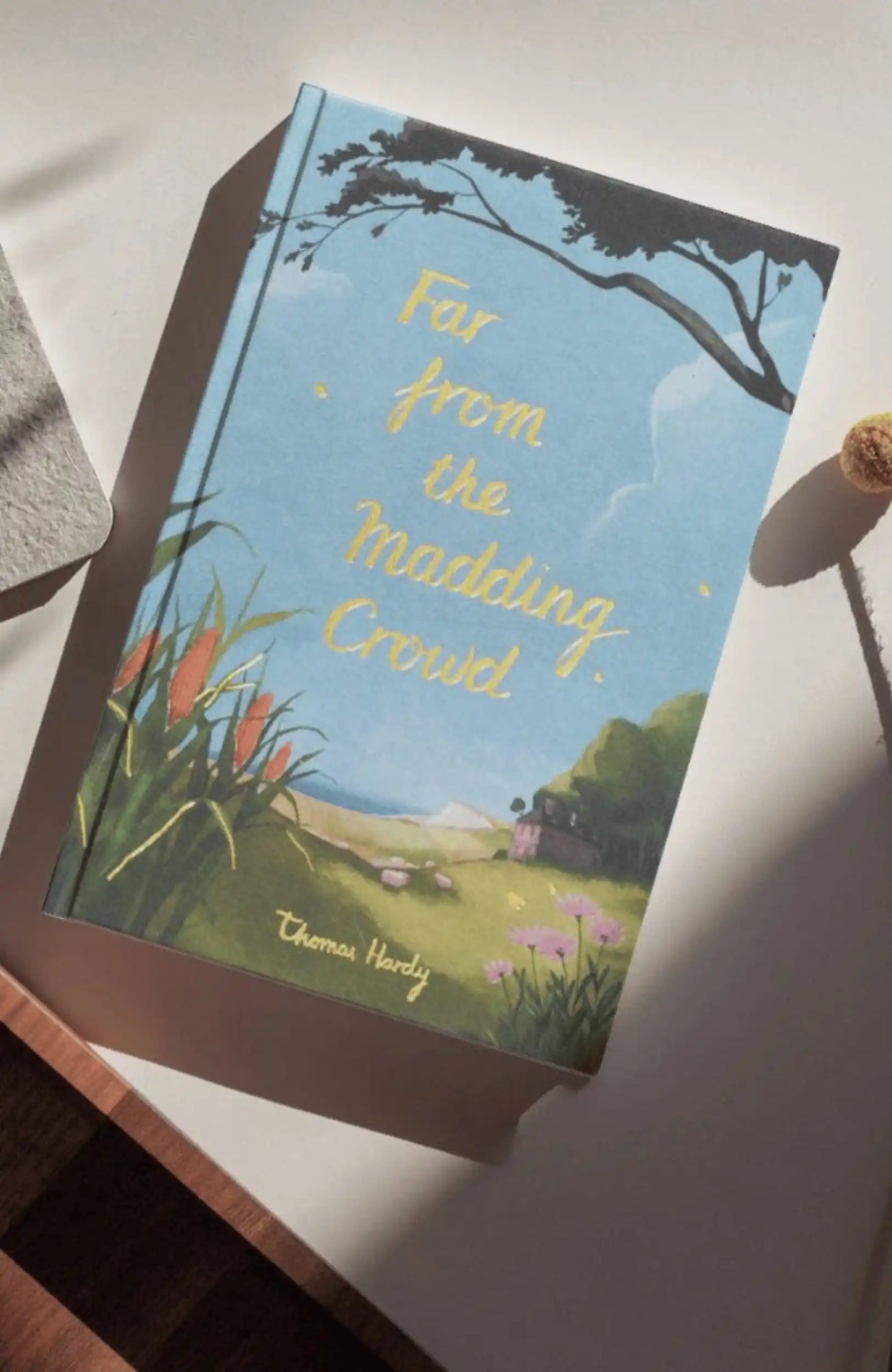 Classic Novels l Wordsworth Collectors Edition l Far from the Madding Crowd - Thomas Hardy - Now Only £9.99