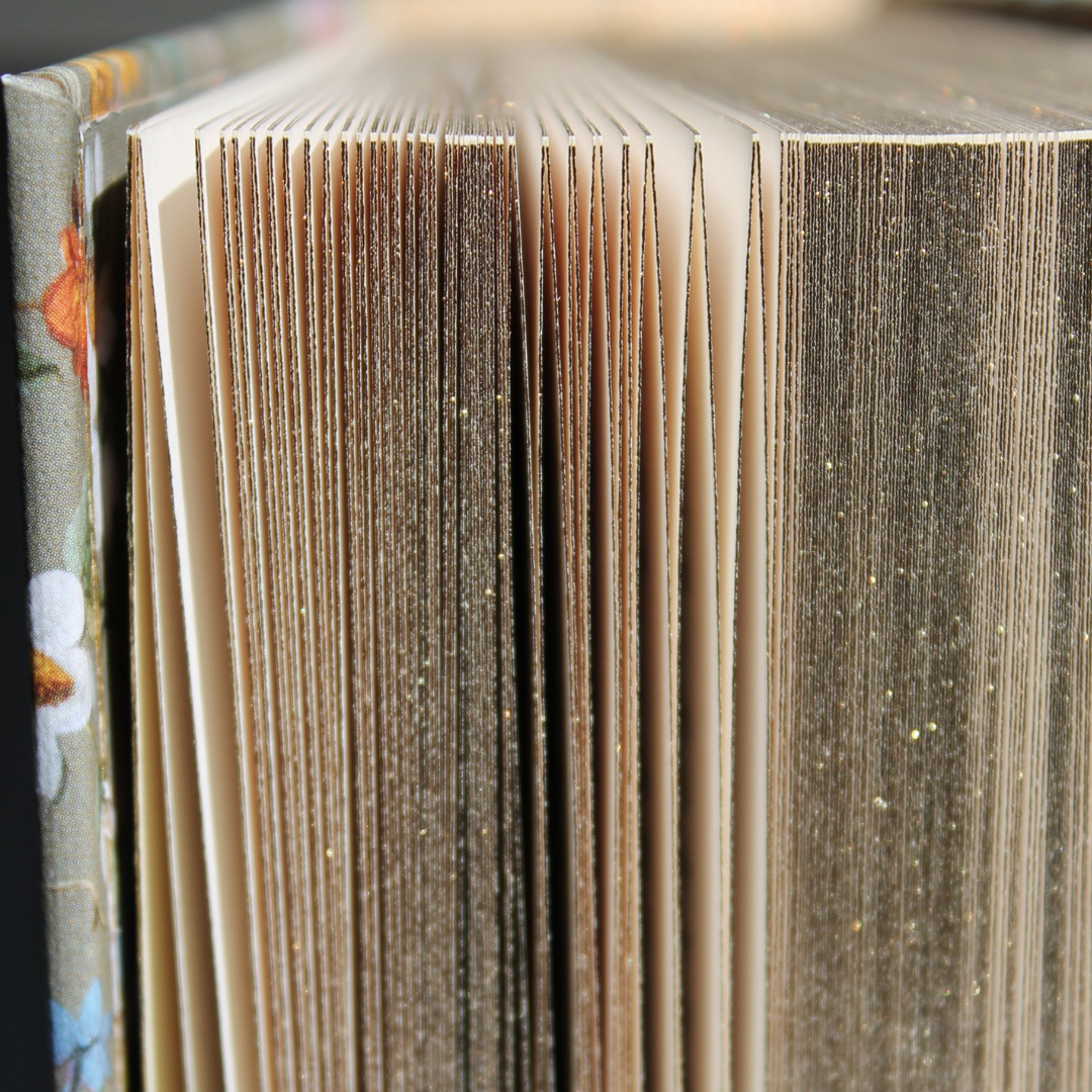 Classic Novels Gilt Edging -  Wordsworth Heritage Collection