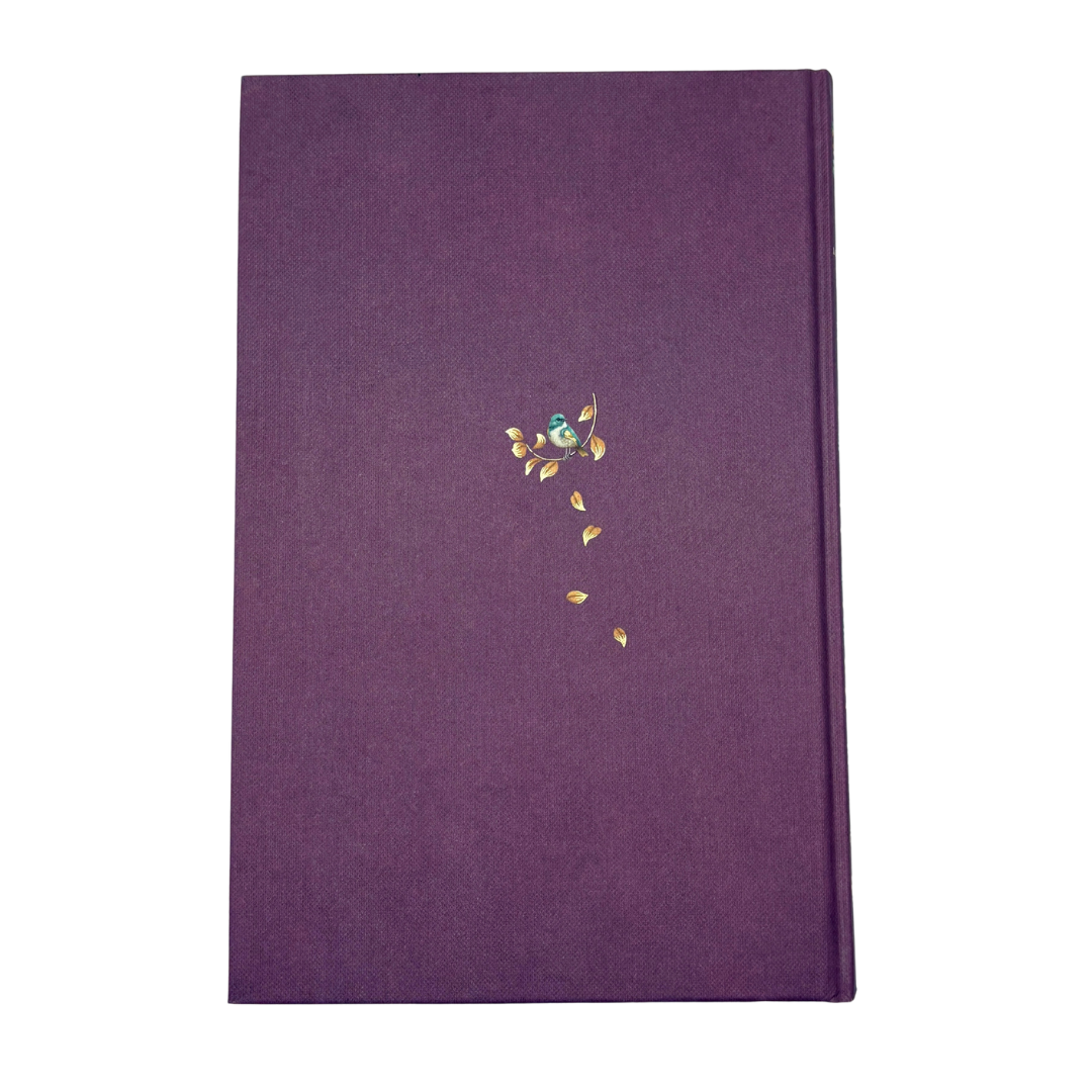 Louisa May Alcott - Little Women