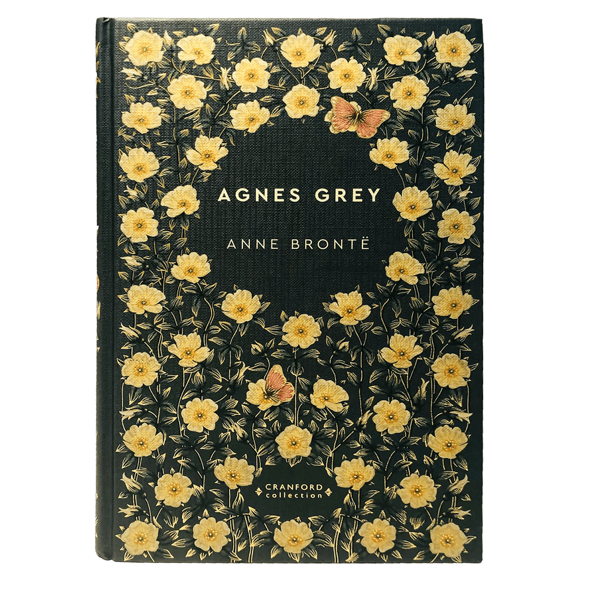 Classic Novels | Jane Austen & the Brontë Sisters Collection | Agnes Grey