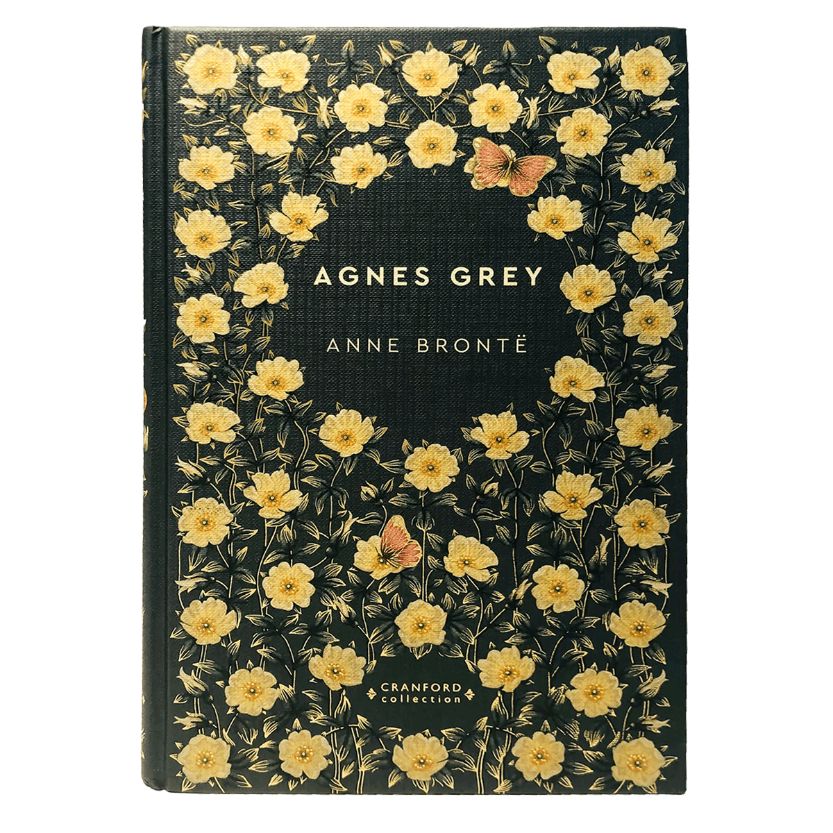 Anne Brontë - Agnes Grey